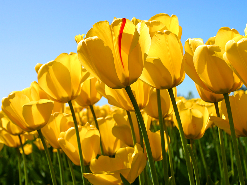 Banner2