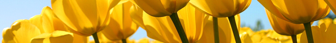Banner2