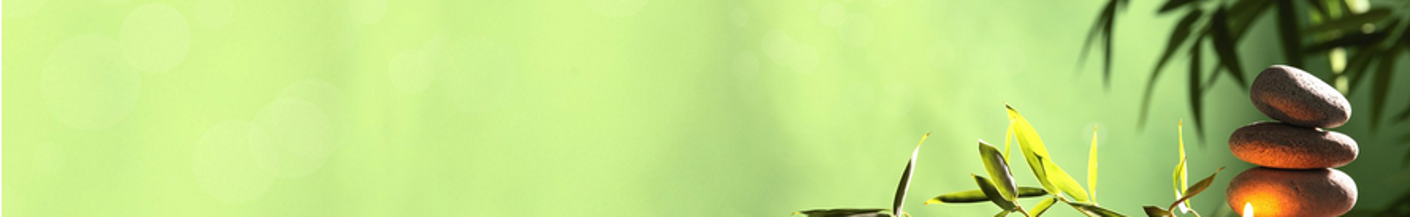 Banner2